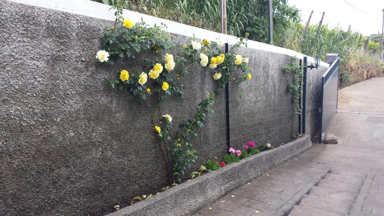 Paraiso Das Flores Estreito Da Calheta Bagian luar foto