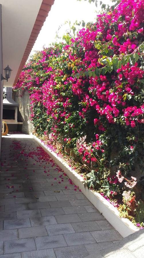 Paraiso Das Flores Estreito Da Calheta Bagian luar foto