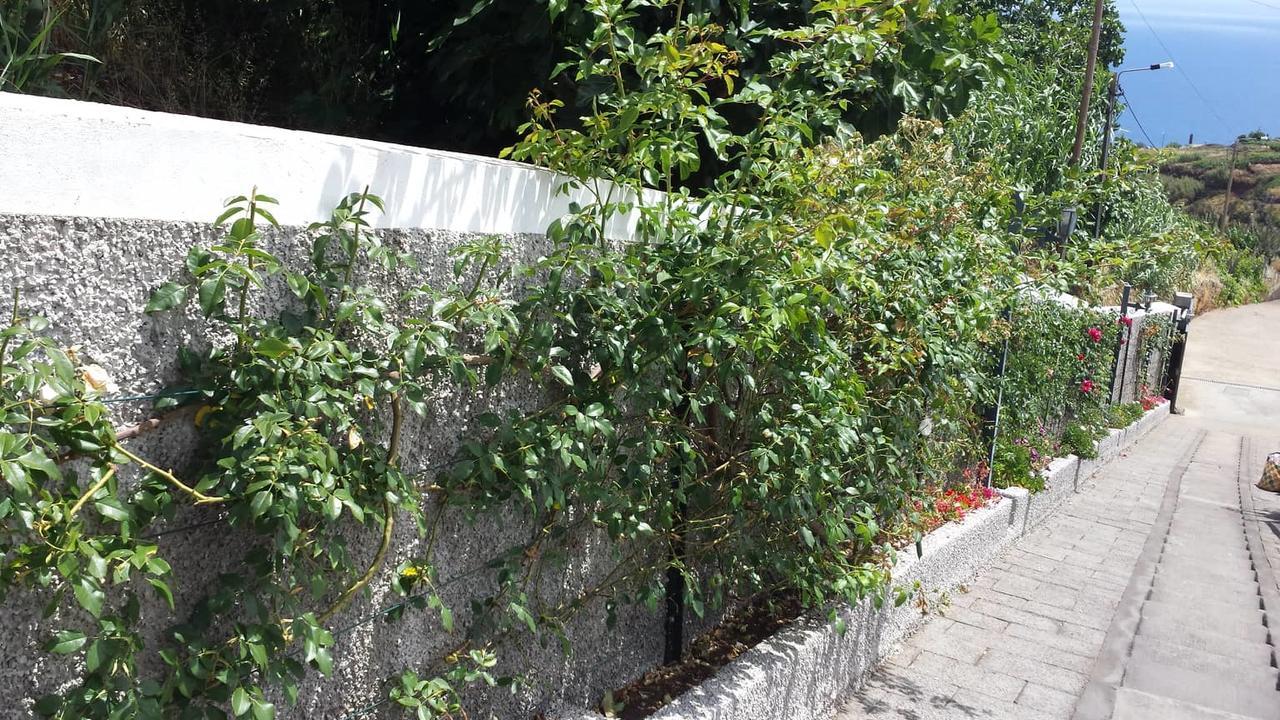 Paraiso Das Flores Estreito Da Calheta Bagian luar foto