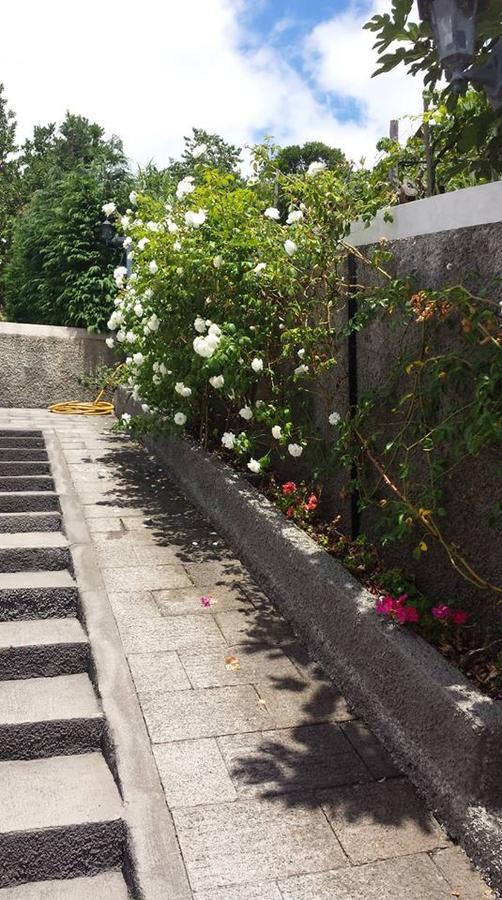 Paraiso Das Flores Estreito Da Calheta Bagian luar foto